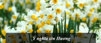 Tên Hương có nghĩa là gì? Các tên Hương hay đảm bảo không QUÊ