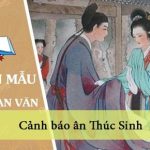 Thay lời Thuý Kiều, em hãy viết đoạn văn kể lại cảnh báo ân Thúc Sinh, trong đó có sử dụng yếu tố miêu tả và biểu cảm