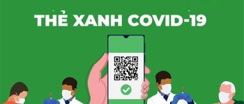 Thẻ xanh Covid là gì? Thẻ vàng Covid là gì? Điều kiện để có thẻ xanh, thẻ vàng Covid