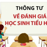 Thông tư 27 đánh giá học sinh tiểu học mới nhất (Thông tư 27/2020/TT-BGDĐT)