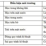 Thường biến là gì? Đặc điểm và Vai trò của thường biến