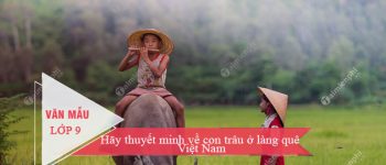 Thuyết minh về con trâu ở làng quê Việt Nam