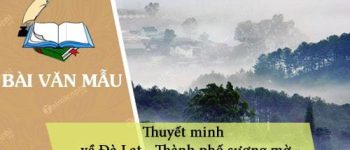 Thuyết minh về Đà Lạt – Thành phố sương mờ