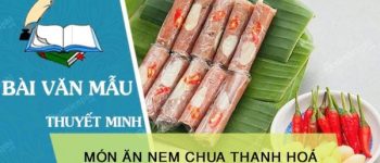 Thuyết minh về món ăn nem chua Thanh Hoá