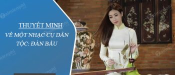 Thuyết minh về một nhạc cụ dân tộc: Đàn bầu