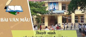 Thuyết minh về ngôi trường em đang học