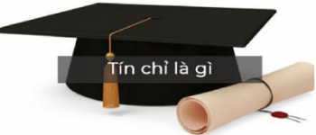 Tín chỉ là gì? Đào tạo tín chỉ – Các ưu điểm và hạn chế?