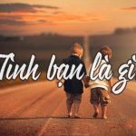 Tình bạn là gì? Cơ sở hình thành tình bạn