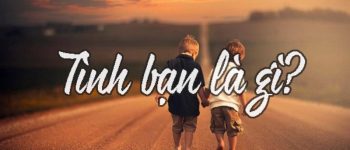 Tình bạn là gì? Cơ sở hình thành tình bạn