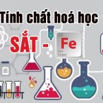 Tính chất hoá học của Sắt (Fe), ví dụ và bài tập – Hoá học lớp 9