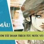 Tóm tắt đoạn trích Tức nước vỡ bờ