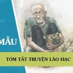 Tóm tắt truyện Lão Hạc