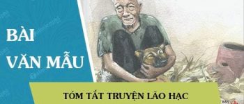 Tóm tắt truyện Lão Hạc