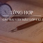 Tổng hợp các bài văn mẫu lớp 8 kì 2