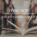 Tổng hợp các bài văn mẫu lớp 9 kì 2