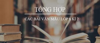 Tổng hợp các bài văn mẫu lớp 9 kì 2