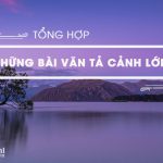 Tổng hợp những bài văn tả cảnh lớp 5 hay nhất