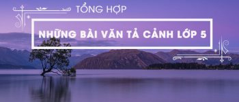 Tổng hợp những bài văn tả cảnh lớp 5 hay nhất