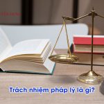 Trách nhiệm pháp lý là gì? Đặc điểm của trách nhiệm pháp lý