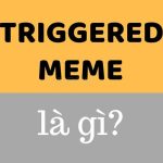 Trigger là gì? Triggered meme là gì? Ý nghĩa và cách dùng