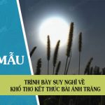 Trình bày suy nghĩ về khổ thơ kết thúc bài Ánh trăng