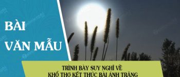 Trình bày suy nghĩ về khổ thơ kết thúc bài Ánh trăng