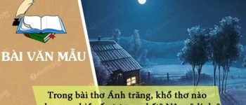 Trong bài thơ Ánh trăng, khổ thơ nào cho em nhiều ấn tượng nhất? Nêu rõ lí do?