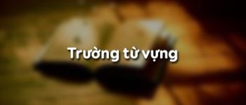 Trường từ vựng là gì? Ví dụ về trường từ vựng chi tiết, dễ hiểu nhất