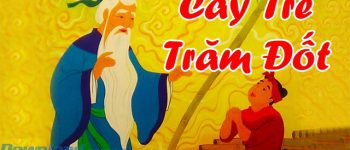 Truyện Cây tre trăm đốt (Có file nghe MP3)