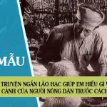 Truyện ngắn Lão Hạc giúp em hiểu gì về tình cảnh của người nông dân trước cách mạng?