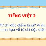 Từ chỉ đặc điểm là gì? Phân loại từ chỉ đặc điểm