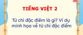 Từ chỉ đặc điểm là gì? Phân loại từ chỉ đặc điểm