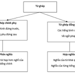 Từ ghép là gì? Có mấy loại từ ghép?