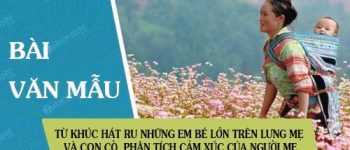 Từ Khúc hát ru những em bé lớn trên lưng mẹ và Con cò, hãy phân tích cảm xúc nồng nàn yêu thương của người mẹ