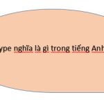 Type Là Gì? Định Nghĩa Và Các Thông Tin Thú Vị Về Từ Type