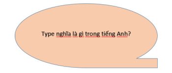 Type Là Gì? Định Nghĩa Và Các Thông Tin Thú Vị Về Từ Type