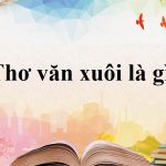 Văn xuôi là gì? Văn xuôi gồm những thể loại nào?