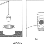 Vật Lí 6 Bài 8: Trọng lực, Đơn vị lực – Giải bài tập SGK Vật Lí 6 Bài 8