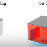 Vật Lí 9 Bài 55: Màu sắc các vật dưới ánh sáng trắng và dưới ánh sáng màu – Giải bài tập SGK Vật Lí 9 Bài 55