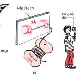 Vật lý 7 bài 29: Hiện tượng đoản mạch là gì? Tác dụng của cầu chì? Các quy tắc an toàn khi sử dụng điện