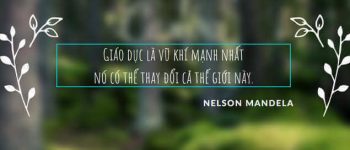 Vật lý 9 bài 19: Một số quy tắc an toàn khi sử dụng điện và cách sử dụng tiết kiệm điện năng