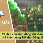 Vẻ đẹp của tình đồng chí được thể hiện trong bài thơ Đồng chí