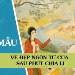 Vẻ đẹp ngôn từ của Sau phút chia li