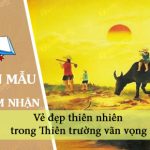 Vẻ đẹp thiên nhiên trong Thiên trường vãn vọng