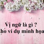 Vị ngữ là gì? Cấu tạo của vị ngữ trong câu