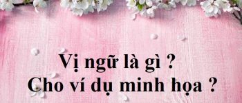 Vị ngữ là gì? Cấu tạo của vị ngữ trong câu