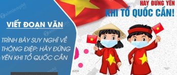 Viết 1 đoạn văn khoảng 10 câu, trình bày suy nghĩ của em về thông điệp: Hãy đứng yên khi tổ quốc cần