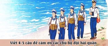 Viết 4-5 câu để cảm ơn các chú bộ đội hải quân đang làm nhiệm vụ bảo vệ biển đảo của Tổ quốc