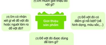 Viết 4-5 câu giới thiệu một đồ vật được làm từ tre hoặc gỗ lớp 2 (42 Mẫu)