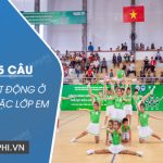 Viết 4 – 5 câu kể lại hoạt động ở trường hoặc lớp em (biểu diễn văn nghệ, đi tham quan, đồng diễn thể dục,…)